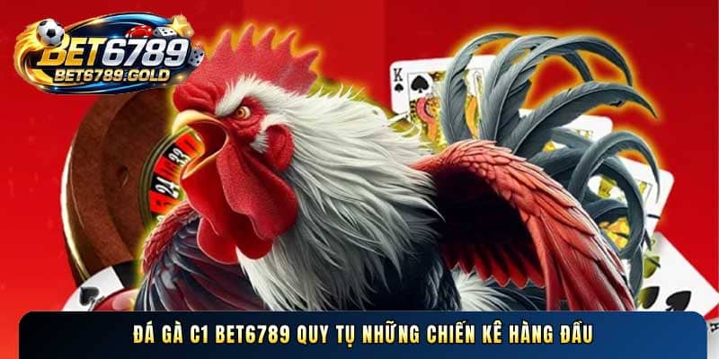 Đá gà C1 BET6789 quy tụ những chiến kê hàng đầu