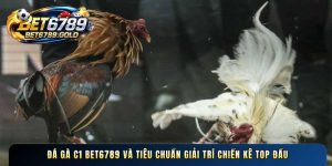 Đá gà C1 BET6789 và tiêu chuẩn giải trí chiến kê top đầu