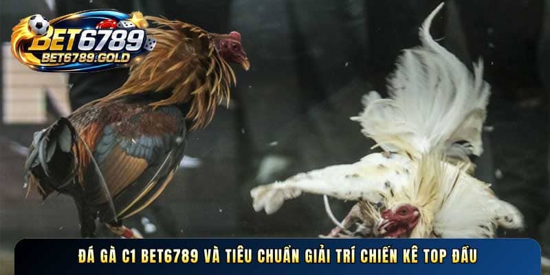 Đá gà C1 BET6789 và tiêu chuẩn giải trí chiến kê top đầu